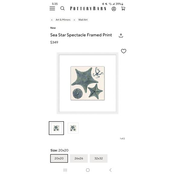 Lot 2 Large Pottery Barn Framed Starfish Beach Sea White Ocean Matte - Picture 7 of 7